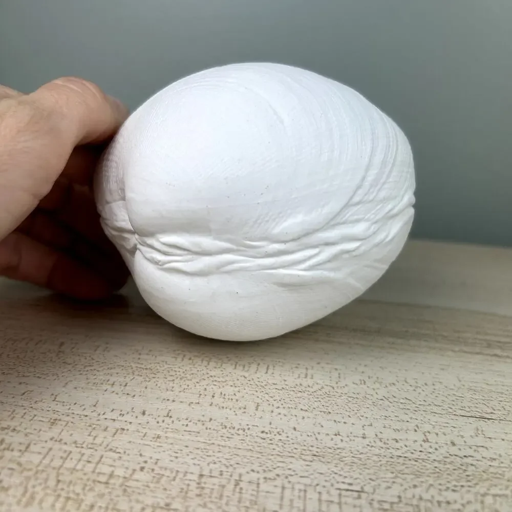 Ceramic Seashell Clam Shell Home Decor Vase Tray Beach Shore Vacation House Sea - Picture 6 of 9